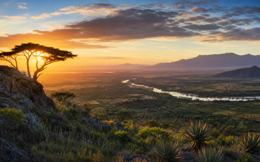 Africa